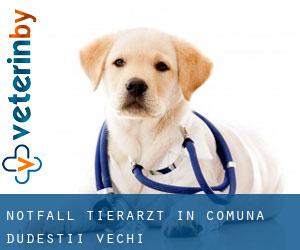Notfall Tierarzt in Comuna Dudeştii Vechi Notfall Tierarzt in Comuna Dudeştii Vechi