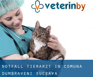 Notfall Tierarzt in Comuna Dumbrăveni (Suceava)
