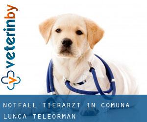 Notfall Tierarzt in Comuna Lunca (Teleorman)