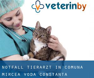 Notfall Tierarzt in Comuna Mircea Vodă (Constanţa)