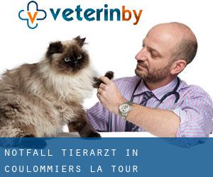 Notfall Tierarzt in Coulommiers-la-Tour