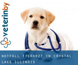 Notfall Tierarzt in Crystal Lake (Illinois) Notfall Tierarzt in Crystal Lake (Illinois)