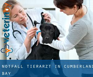 Notfall Tierarzt in Cumberland Bay