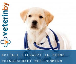 Notfall Tierarzt in Dębno (Woiwodschaft Westpommern)