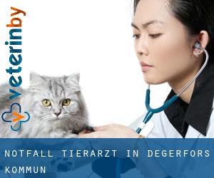 Notfall Tierarzt in Degerfors Kommun