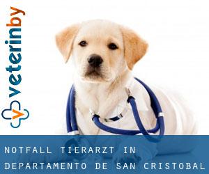 Notfall Tierarzt in Departamento de San Cristóbal