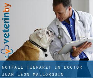Notfall Tierarzt in Doctor Juan León Mallorquín