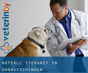 Notfall Tierarzt in Donaueschingen
