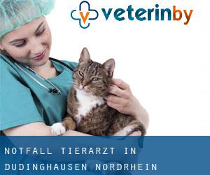 Notfall Tierarzt in Düdinghausen (Nordrhein-Westfalen)