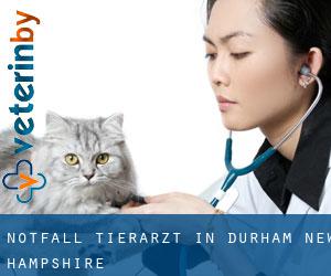 Notfall Tierarzt in Durham (New Hampshire)