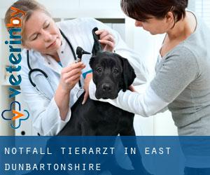 Notfall Tierarzt in East Dunbartonshire