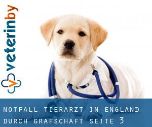 Notfall Tierarzt in England durch Grafschaft - Seite 3