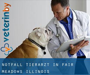 Notfall Tierarzt in Fair Meadows (Illinois)