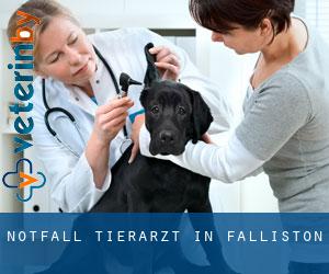 Notfall Tierarzt in Falliston