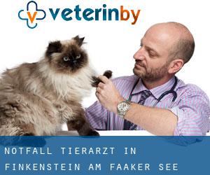 Notfall Tierarzt in Finkenstein am Faaker See