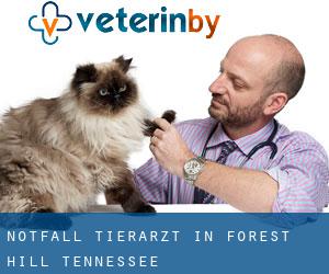 Notfall Tierarzt in Forest Hill (Tennessee)