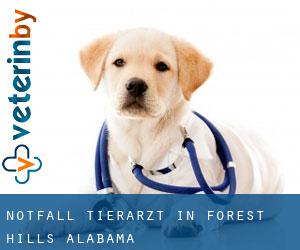 Notfall Tierarzt in Forest Hills (Alabama)