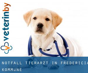 Notfall Tierarzt in Fredericia Kommune