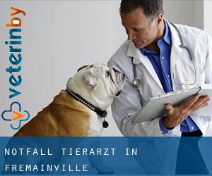 Notfall Tierarzt in Frémainville