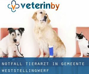 Notfall Tierarzt in Gemeente Weststellingwerf