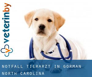Notfall Tierarzt in Gorman (North Carolina)