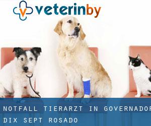 Notfall Tierarzt in Governador Dix-Sept Rosado