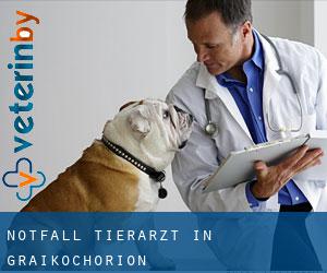 Notfall Tierarzt in Graikochórion
