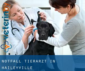 Notfall Tierarzt in Haileyville