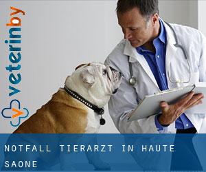Notfall Tierarzt in Haute-Saône