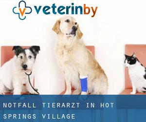 Notfall Tierarzt in Hot Springs Village