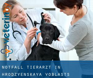 Notfall Tierarzt in Hrodzyenskaya Voblastsʼ