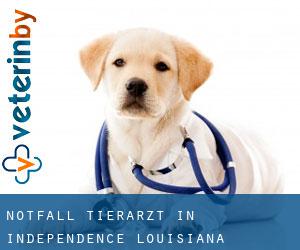 Notfall Tierarzt in Independence (Louisiana) Notfall Tierarzt in Independence (Louisiana)