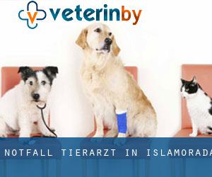Notfall Tierarzt in Islamorada