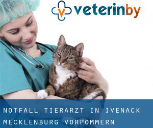Notfall Tierarzt in Ivenack (Mecklenburg-Vorpommern)