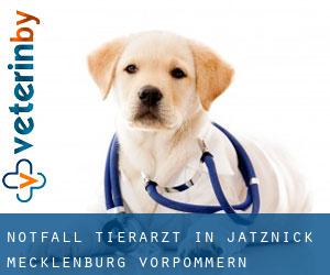 Notfall Tierarzt in Jatznick (Mecklenburg-Vorpommern)