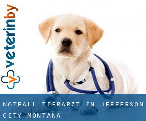 Notfall Tierarzt in Jefferson City (Montana)