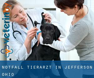 Notfall Tierarzt in Jefferson (Ohio)