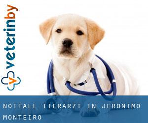 Notfall Tierarzt in Jerônimo Monteiro