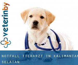 Notfall Tierarzt in Kalimantan Selatan Notfall Tierarzt in Kalimantan Selatan