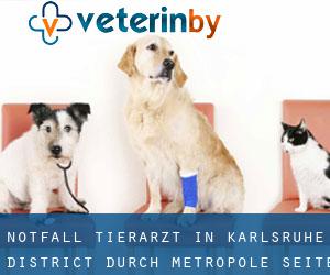 Notfall Tierarzt in Karlsruhe District durch metropole - Seite 2