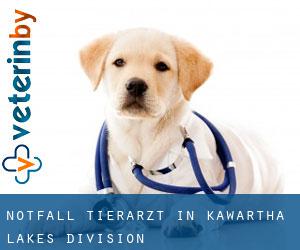 Notfall Tierarzt in Kawartha Lakes Division