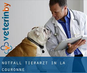 Notfall Tierarzt in La Couronne