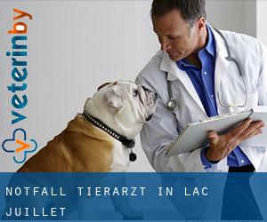 Notfall Tierarzt in Lac-Juillet