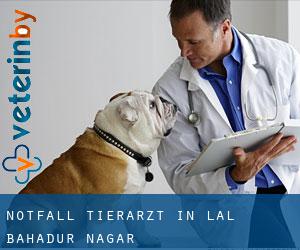 Notfall Tierarzt in Lal Bahadur Nagar