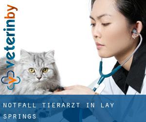 Notfall Tierarzt in Lay Springs