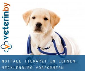 Notfall Tierarzt in Lehsen (Mecklenburg-Vorpommern)