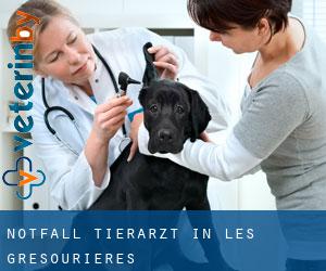 Notfall Tierarzt in Les Grésourières