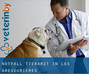 Notfall Tierarzt in Les Grésourières