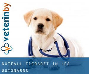 Notfall Tierarzt in Les Guignards