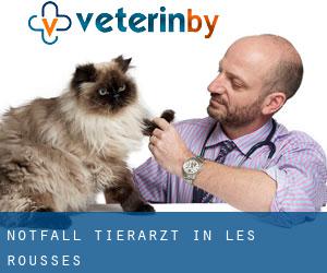 Notfall Tierarzt in Les Rousses